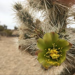 Meet your Posher, Rexi